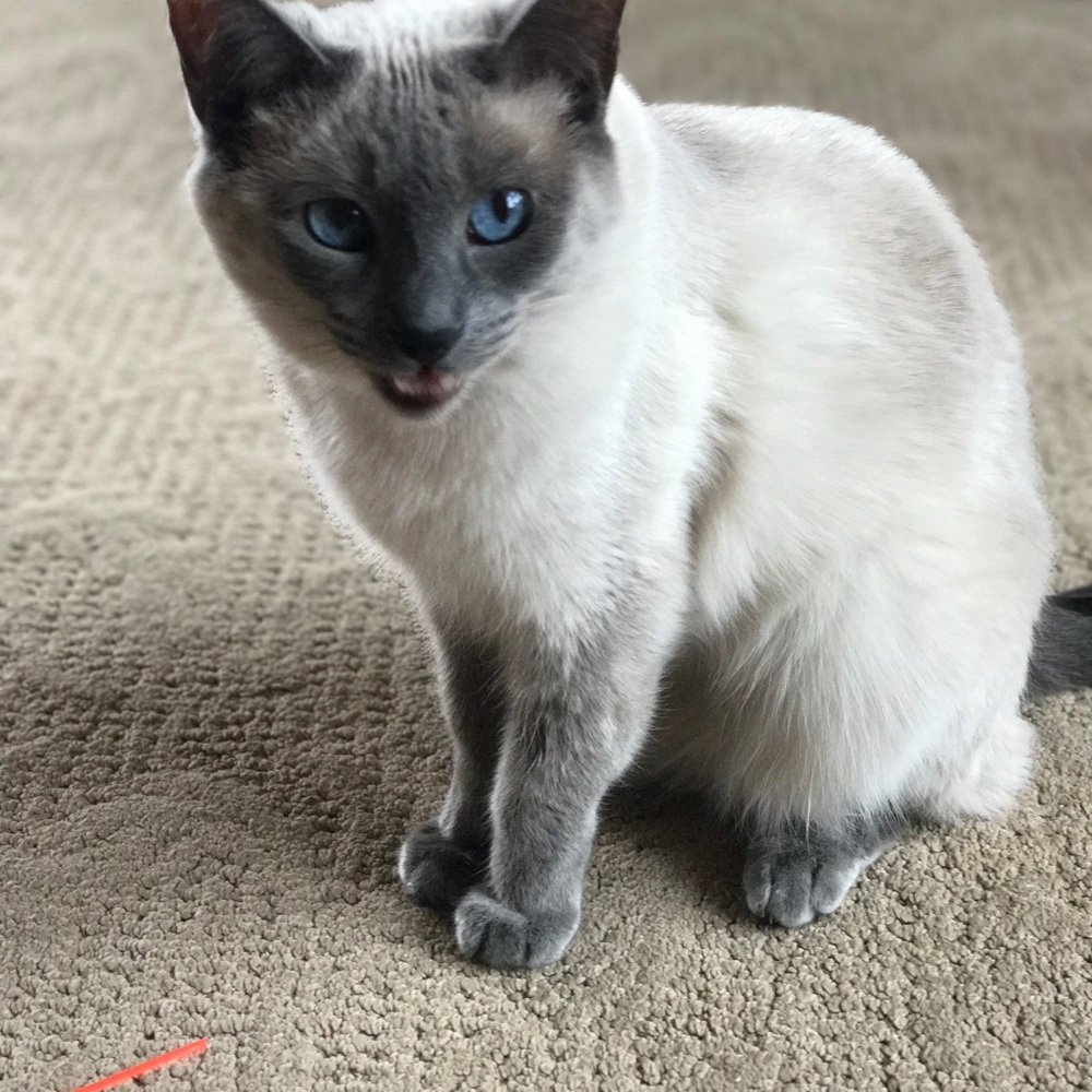 Meet your Posher, Linda